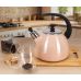 Чайник эмалированный Kamille "Boiling Water" 2.5л со свистком, индукционный, розовый