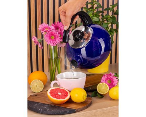 Чайник эмалированный Kamille "Boiling Water" 2.5л со свистком, синий глянец