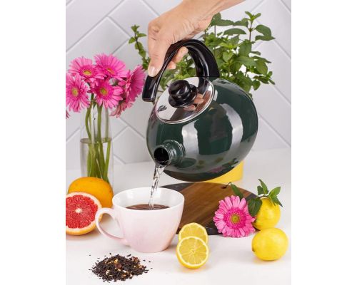 Чайник эмалированный Kamille "Boiling Water" 2.5л со свистком, зеленый глянец