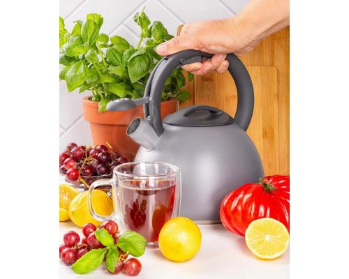 Чайник Ofenbach Silver 2.7л нержавеющая сталь, со свистком, серый матовый