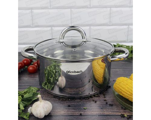 Кастрюля индукционная Ofenbach Casserole из нержавеющей стали 4л со стеклянной крышкой