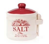 Банка керамічна "Англійська Шипшина SALT" 450мл з дерев'яною ложкою