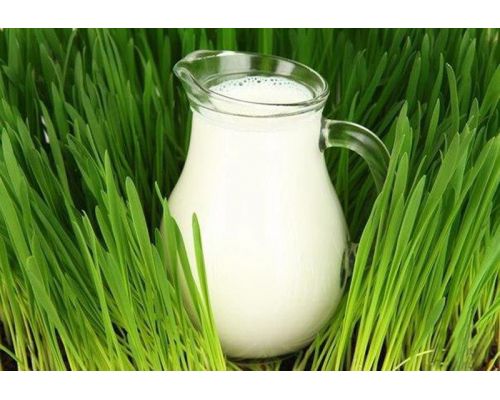Кувшин Bistro Jugs 250мл Кувшин Bistro Jugs 250мл