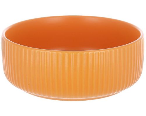 Набор 4 фарфоровые пиалы Scandi Mango Ø21х8см
